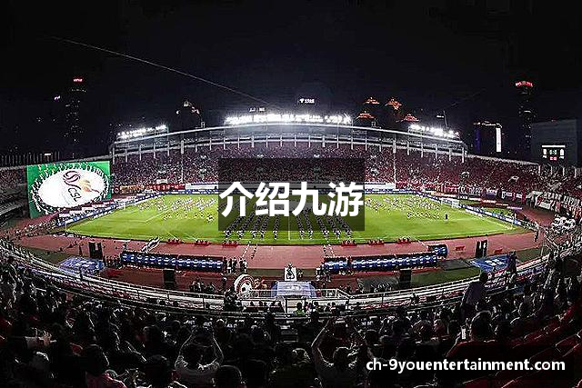 介绍九游